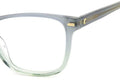 Eyeglasses  3009 3U5 Grey Green