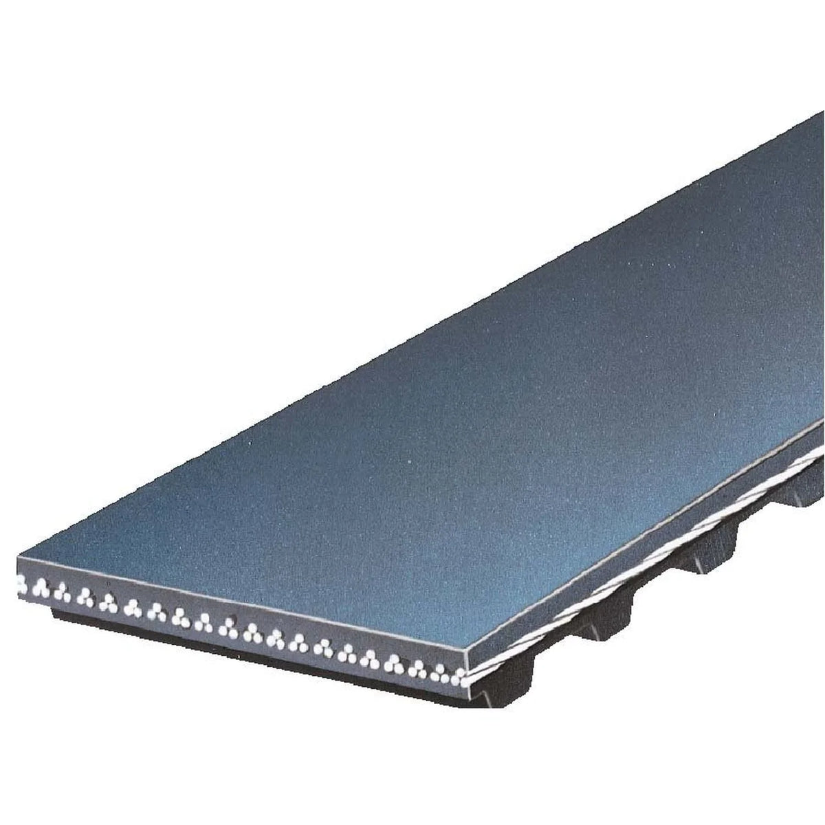 Gates T068 Timing Belt Fits select: 1979-1982  124, 1980-1981