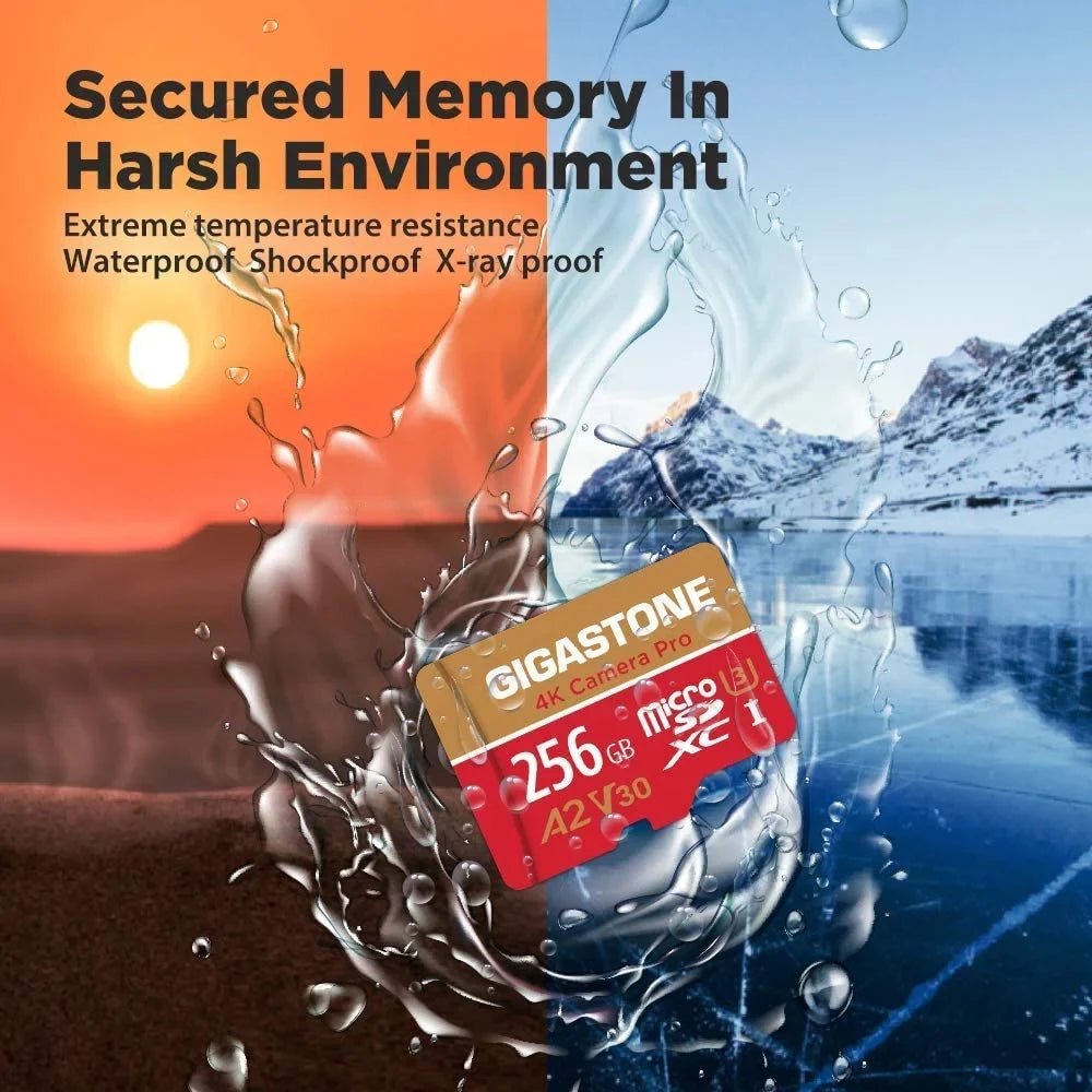 Dane-Elec Gigastone 4K Class10 U3 A2 V30 Camera Pro MicroSDXC Card, 256GB