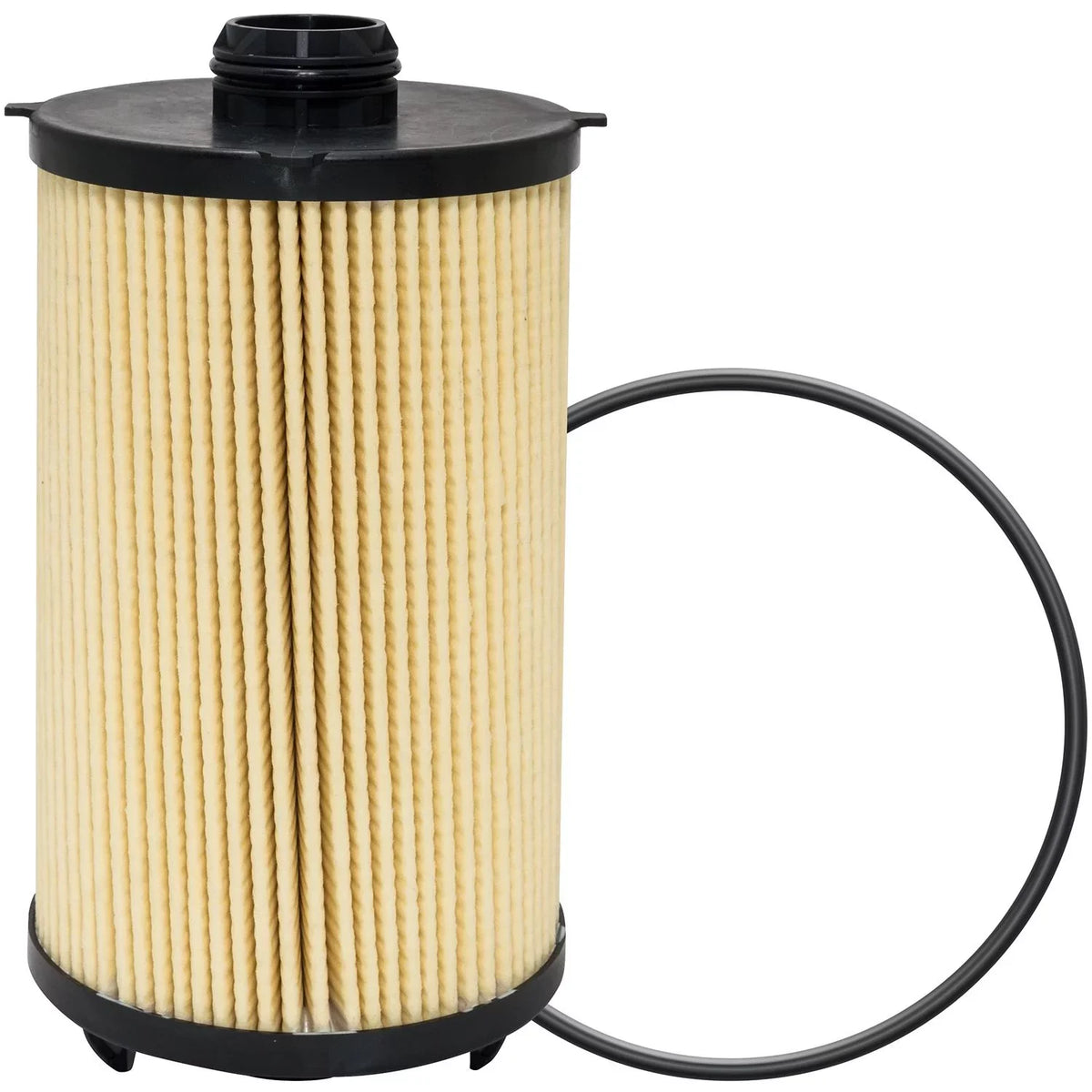 Carquest Premium Lube Element 1