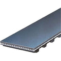Gates T068 Timing Belt Fits select: 1979-1982  124, 1980-1981